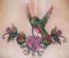 rose and hummingbird pic tattoo on back